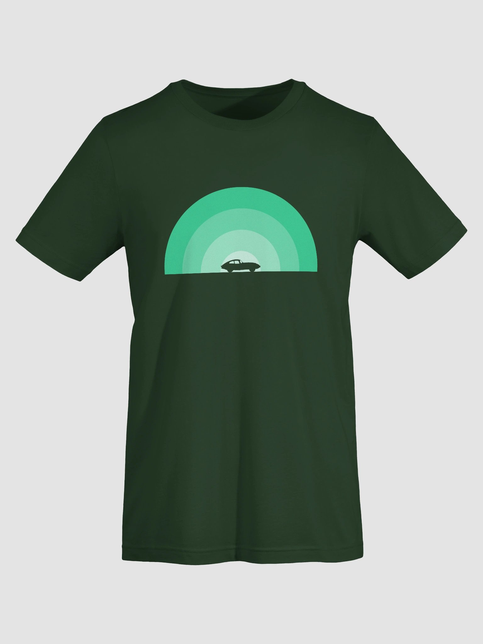 Jaguar E-Type Monochrome Rainbow (Green) product image (19)