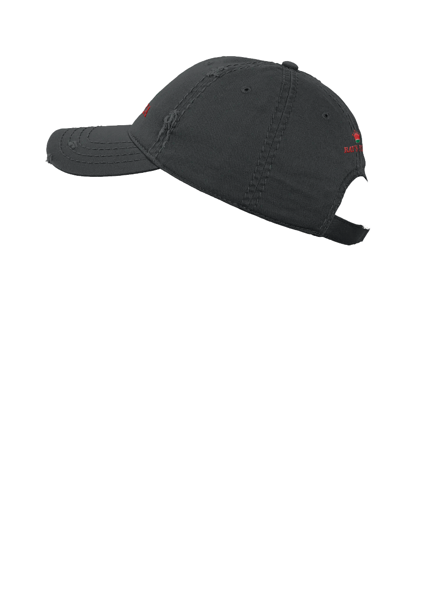 Ray's Pizza Distressed Dad Hat product image (29)