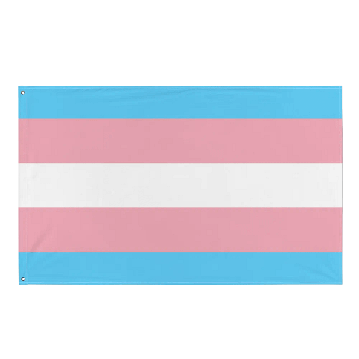 Transgender Flag product image (1)