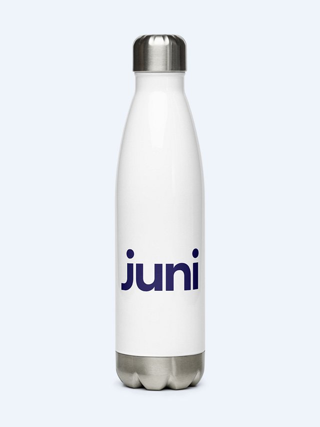 Juni Stainless Steel Water Bottle product image (1)