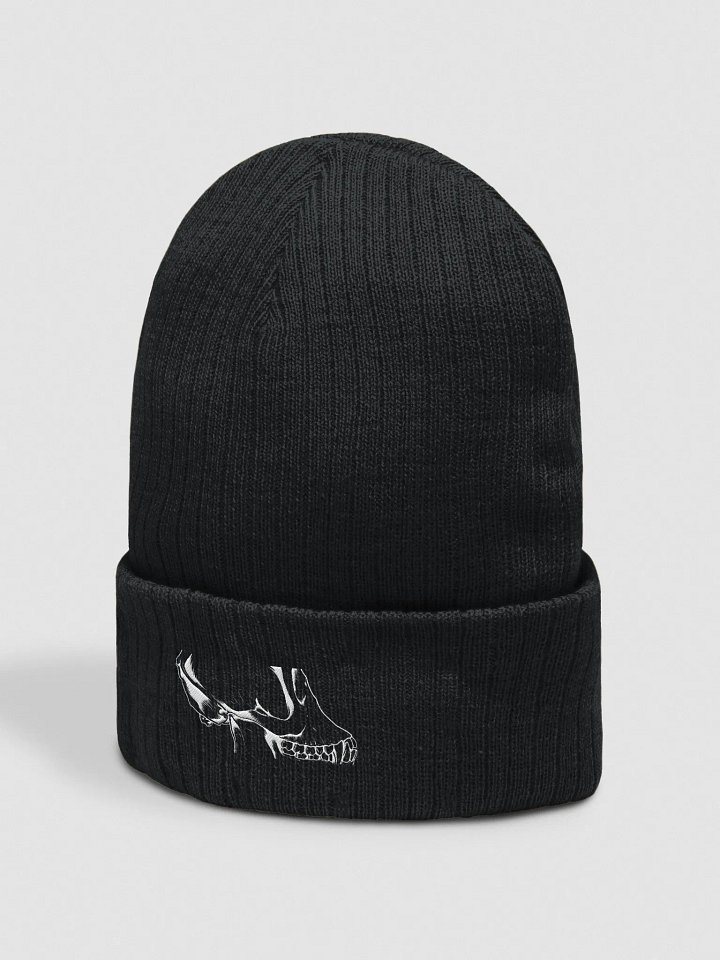 Embroidered ZOIC Skull Beanie product image (2)