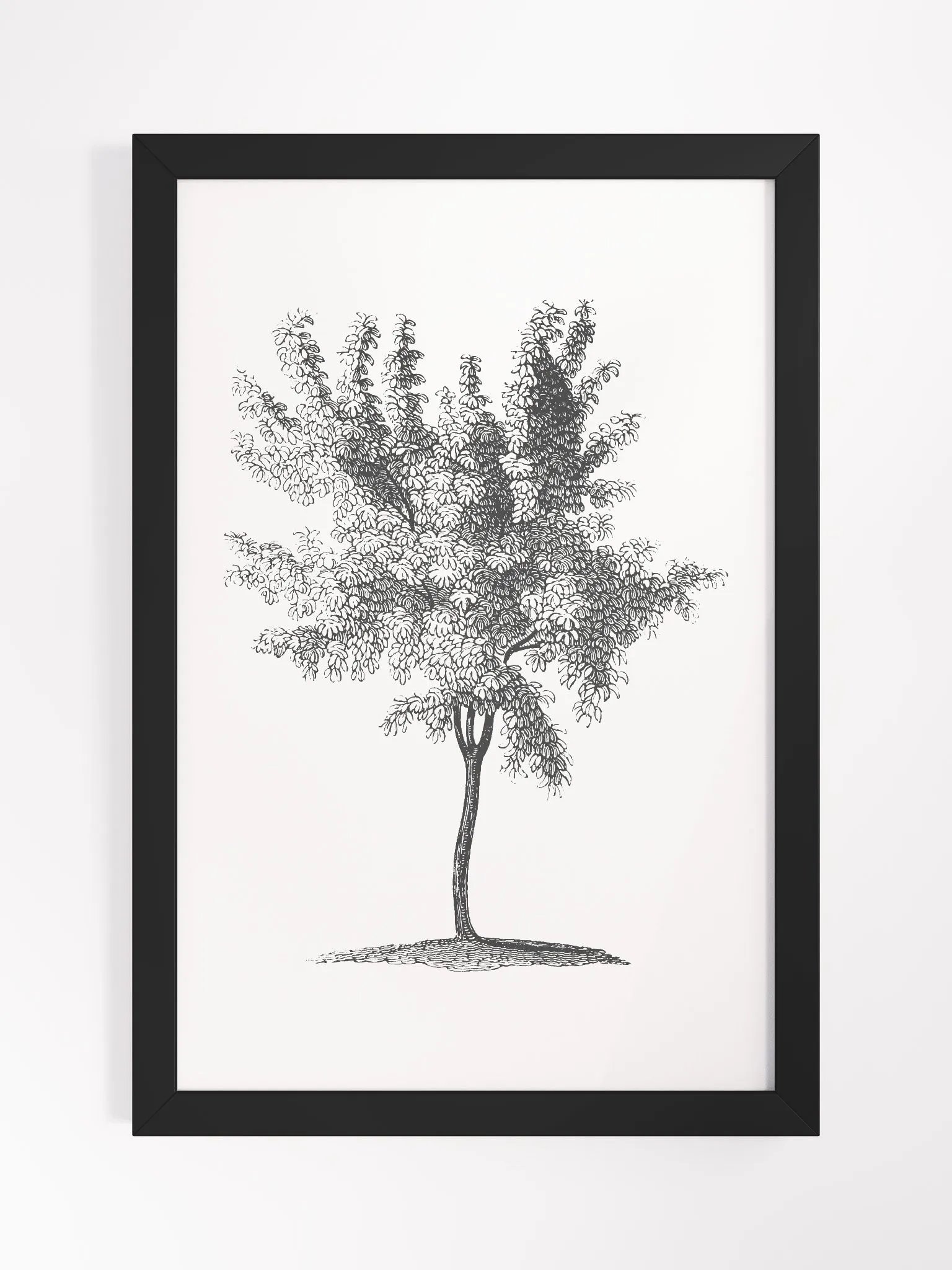 Woodland Trees #2 Framed Print product image (1)