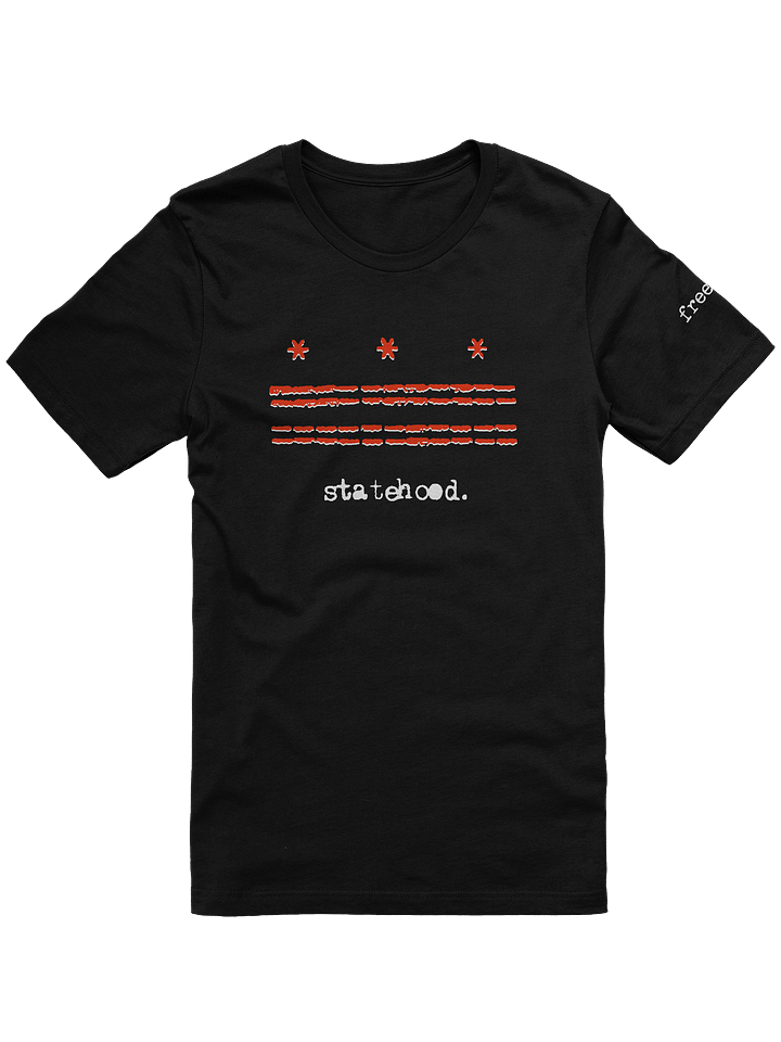 statehood tee product image (1)