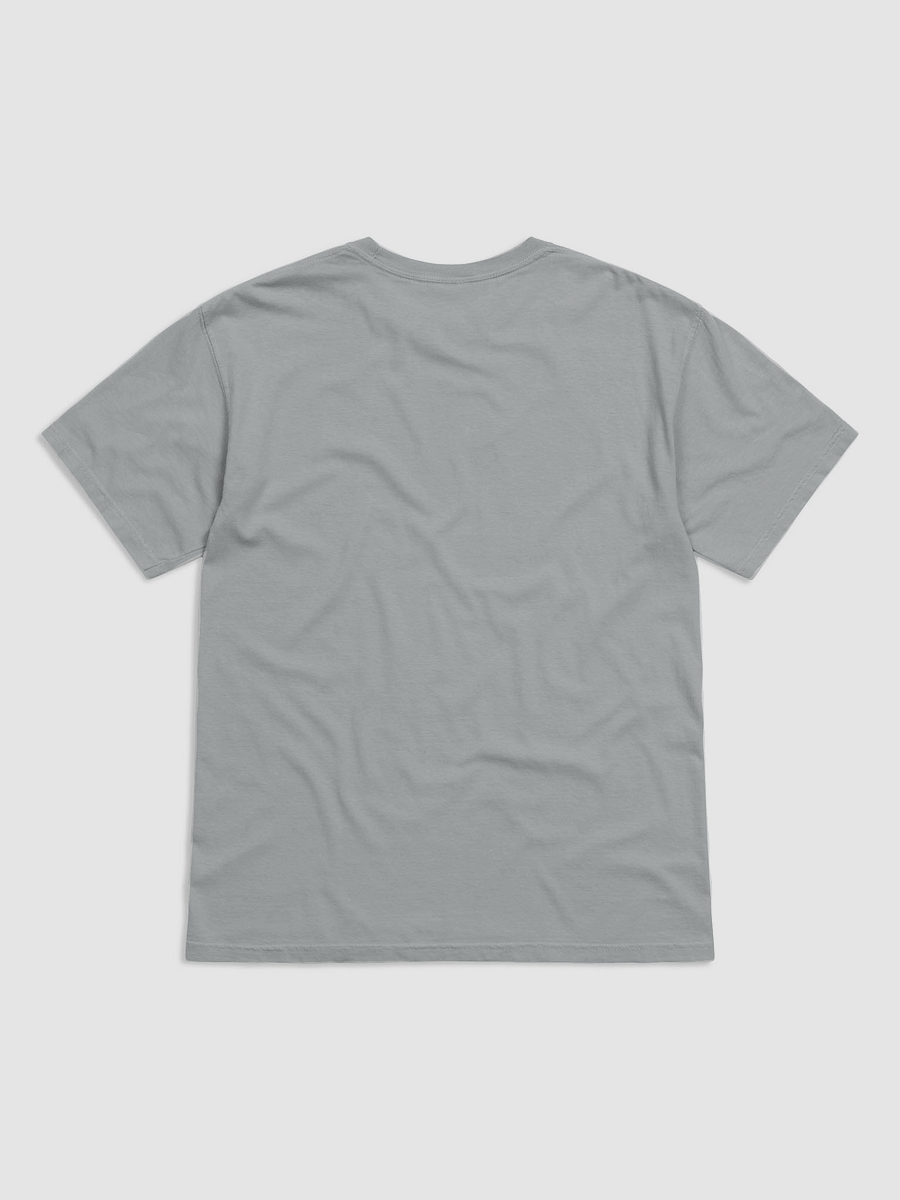 anointed t-shirt 🩶 product image (2)