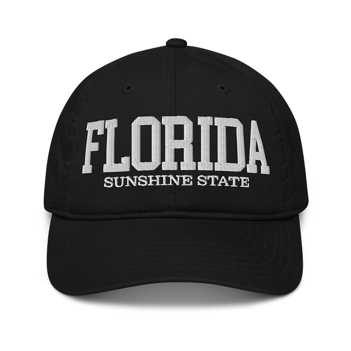 Florida Sunshine State Organic Dad Hat product image (1)