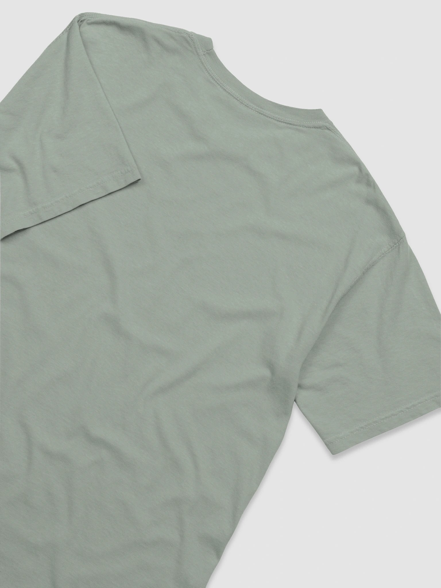 Spartan Legacy Tee product image (6)