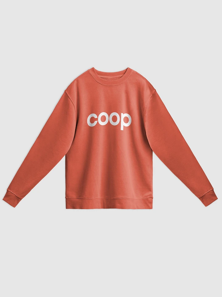 COOP Vintage Crew Sweatshirt product image (1)