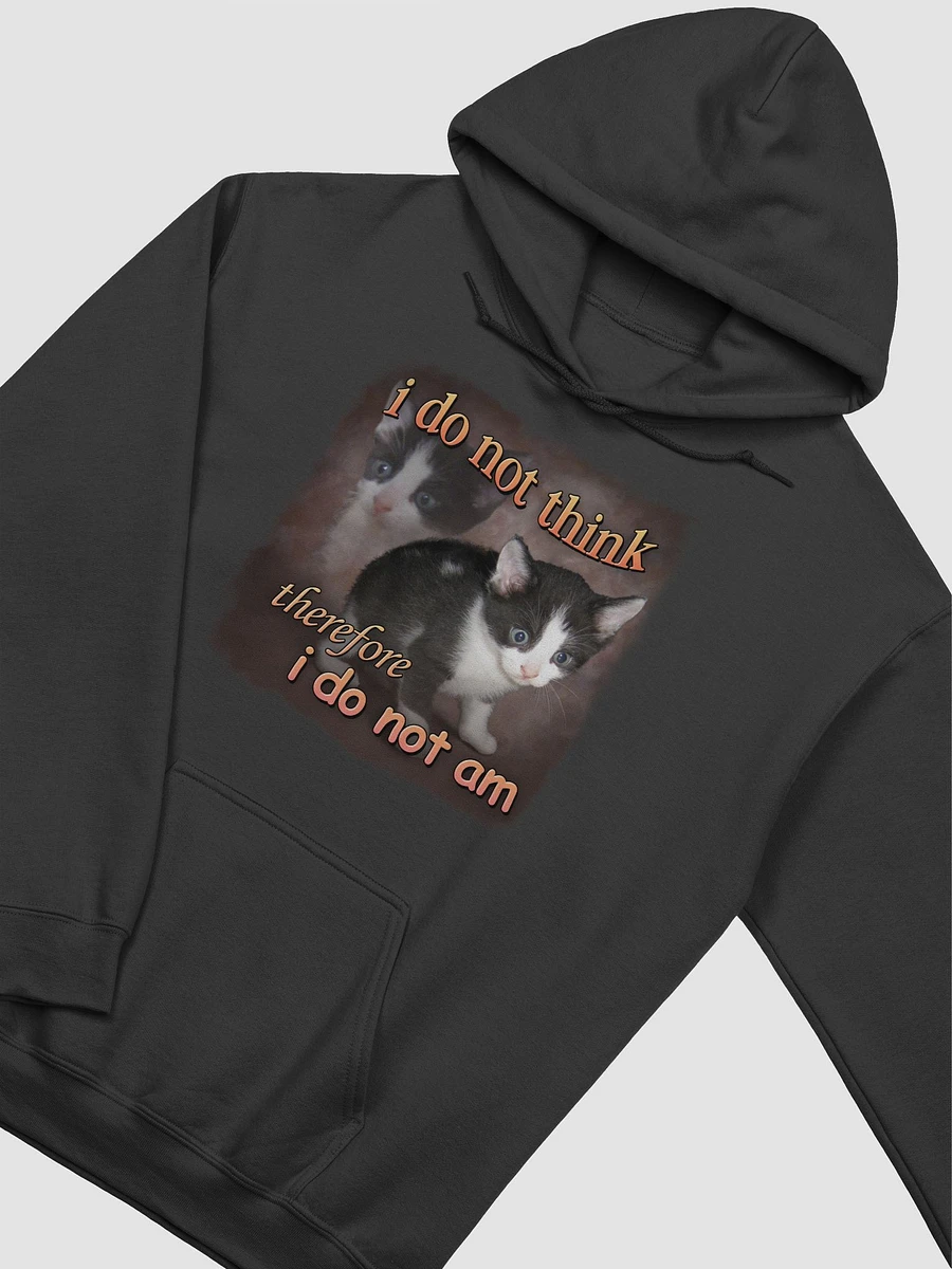 I do not think therefore I do not am Hoodie product image (3)