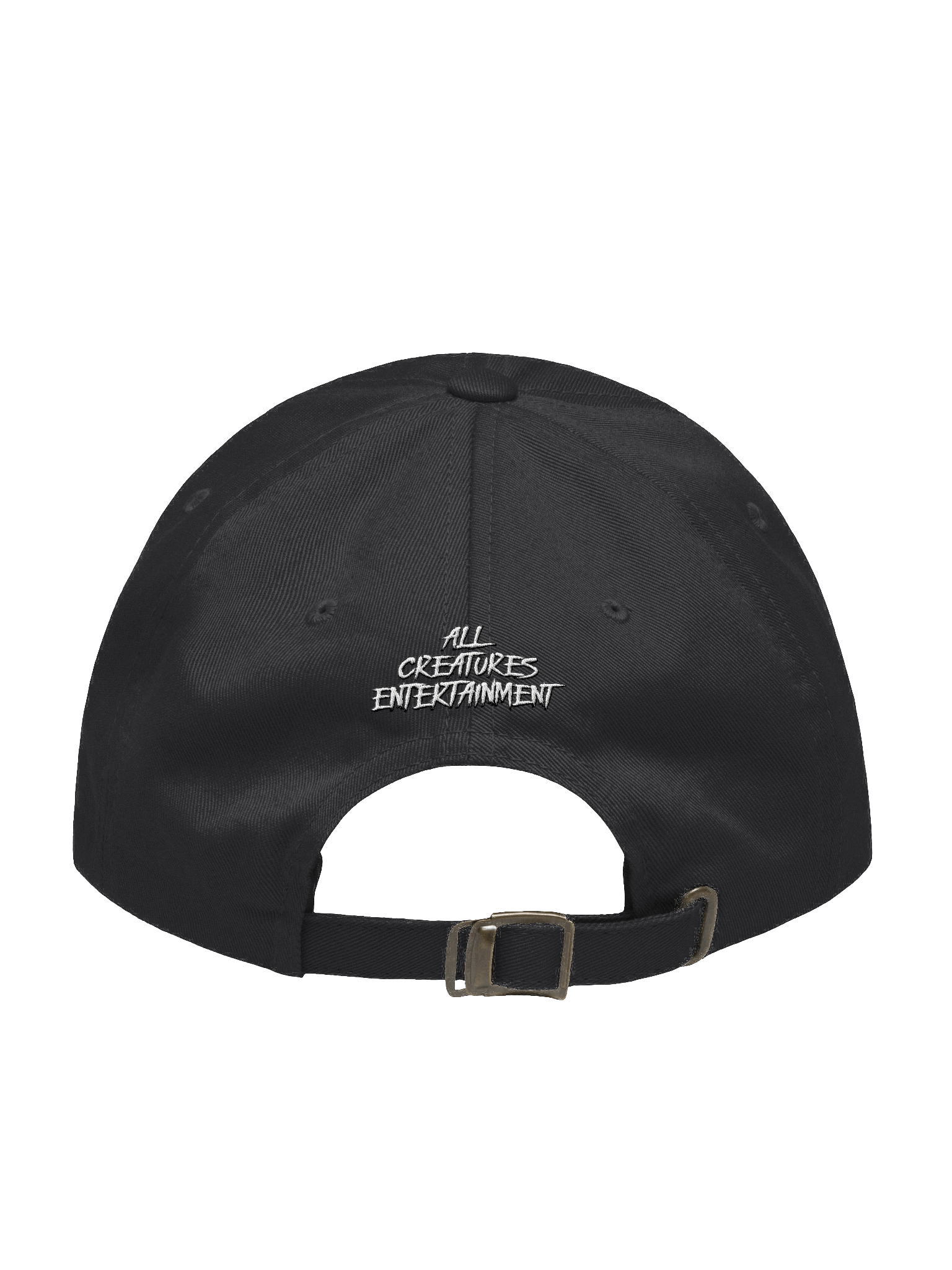ACE Logo Dad Hat product image (2)