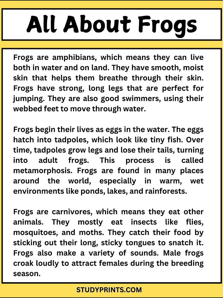 all about frogs reading comprehension worksheets product image (2)