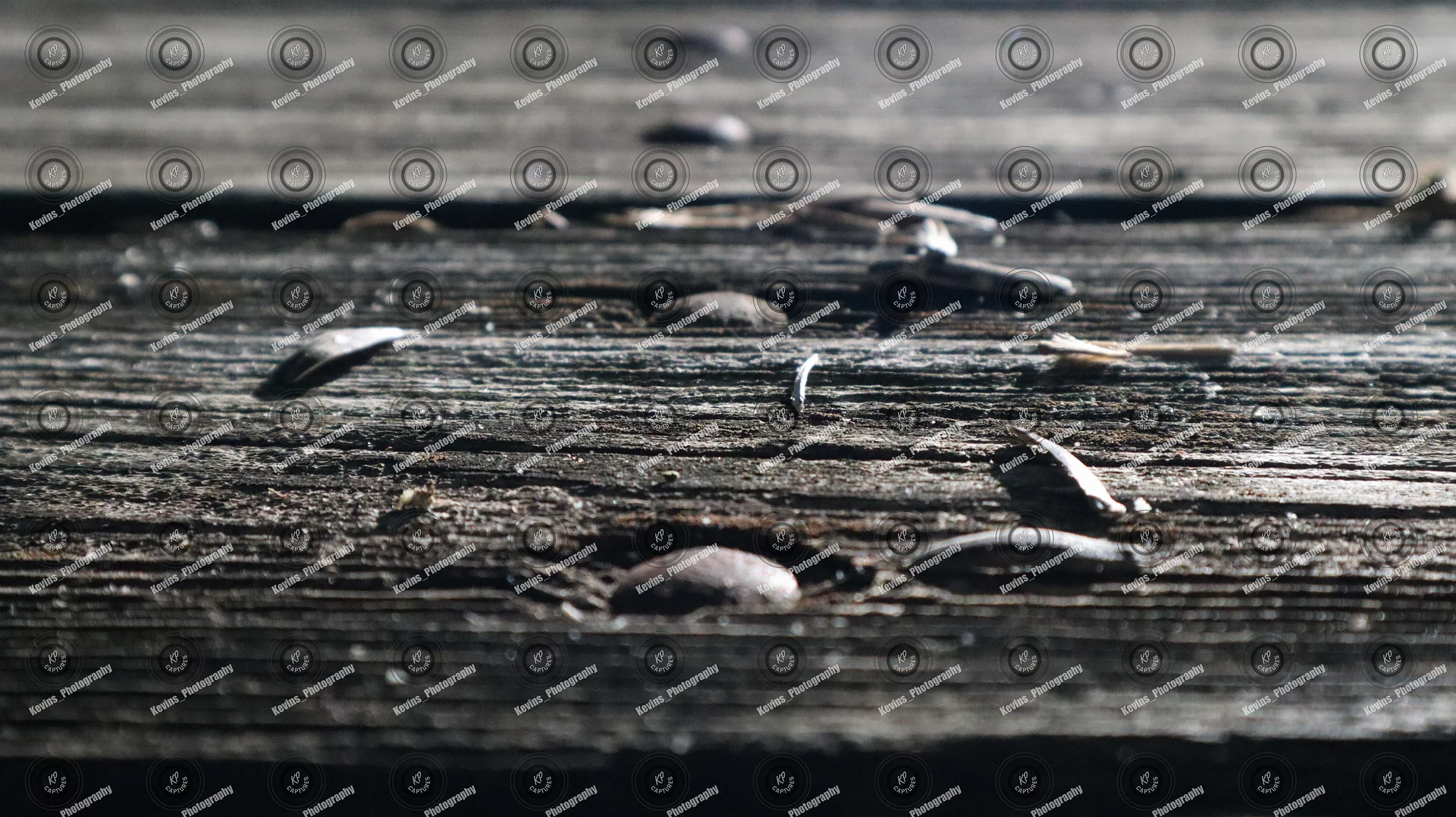 Wooden Table Grain 0487 JPG Horizontal Stock Photo product image (1)