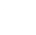 Kingseeker
