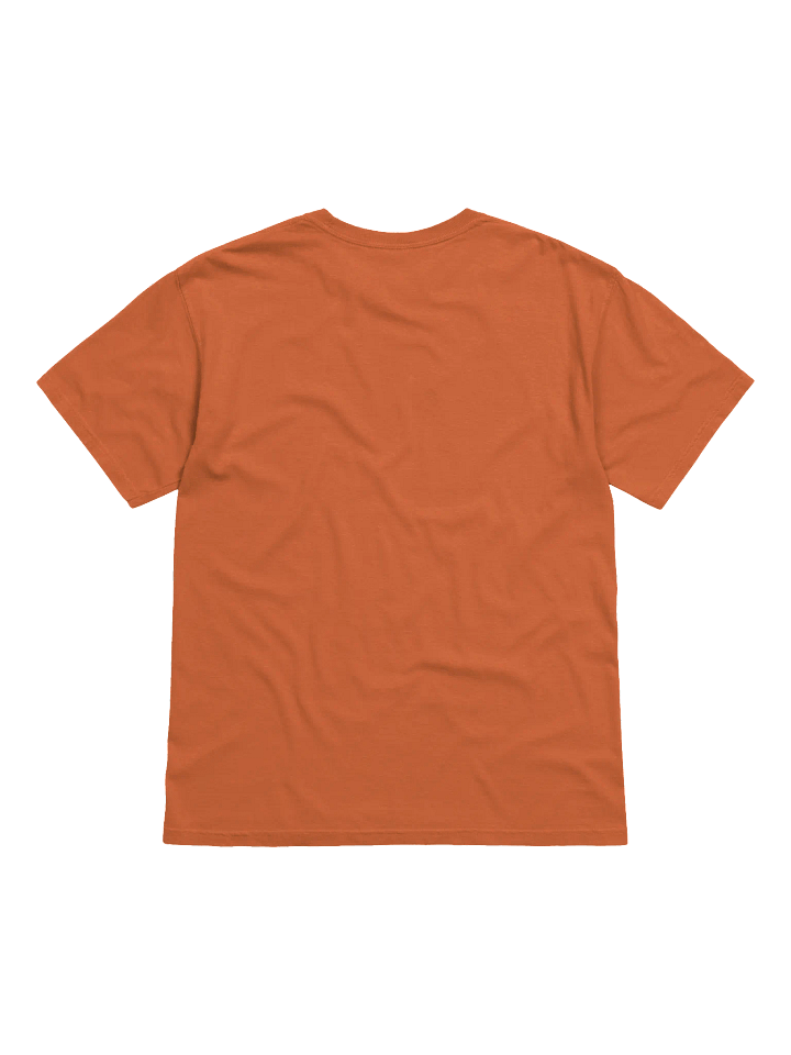 Hallowed Arenas T-Shirt product image (6)