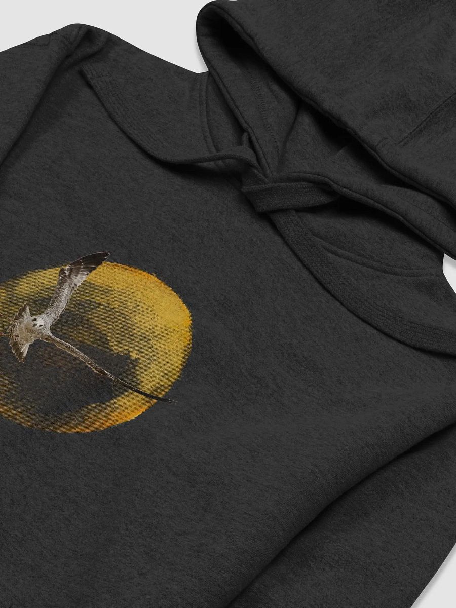 Young Sun Gull Hoodie product image (17)