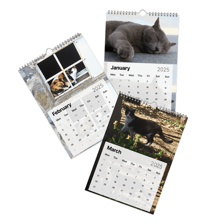 Calendar 2025 - Cats *meow* product image (2)