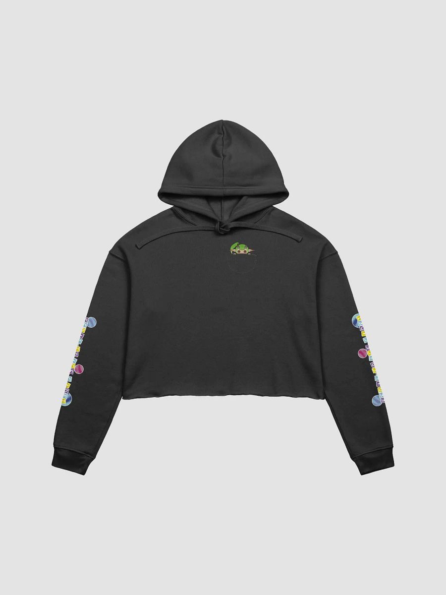 FSC Crop Hoodie product image (6)
