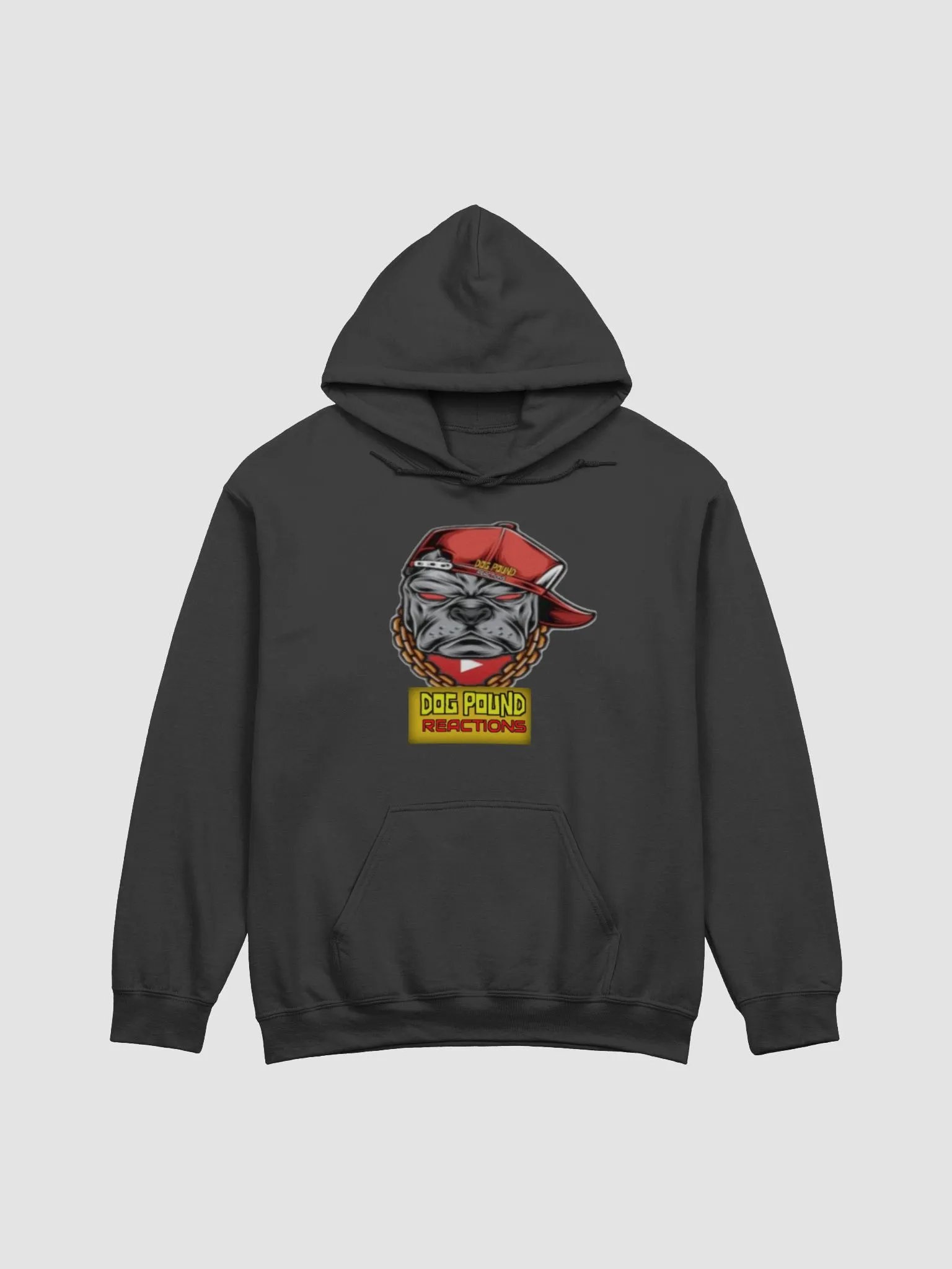 DPR Hoodie product image (1)