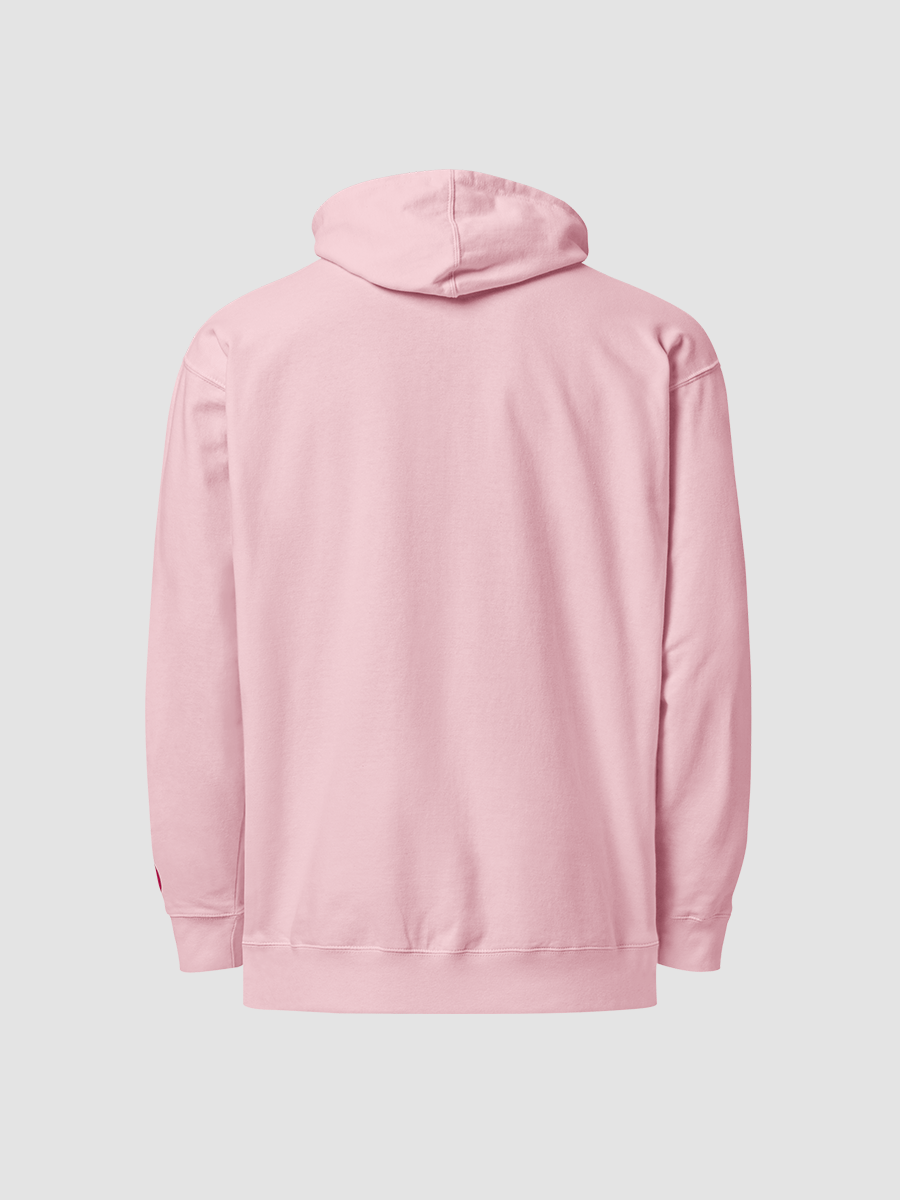 praise the orb embroidered hoodie product image (5)