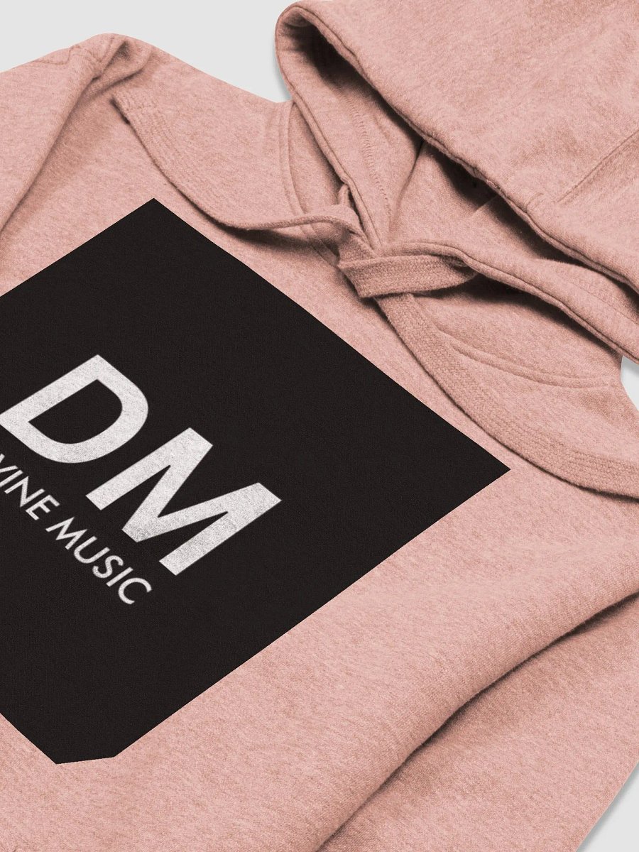 DIVINE HOODIE SALMON product image (3)