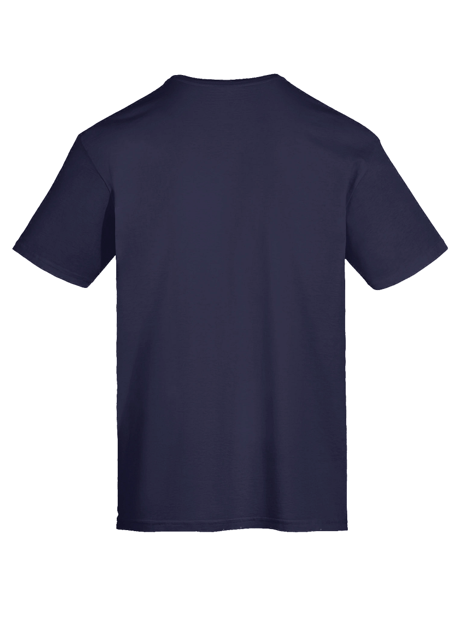 Unity in Diversity Flag Sphere T-Shirt product image (72)