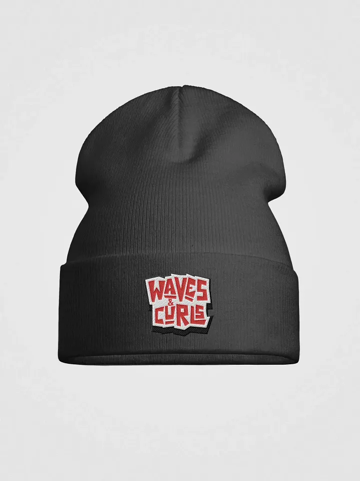 Waves & Curls Main Logo 