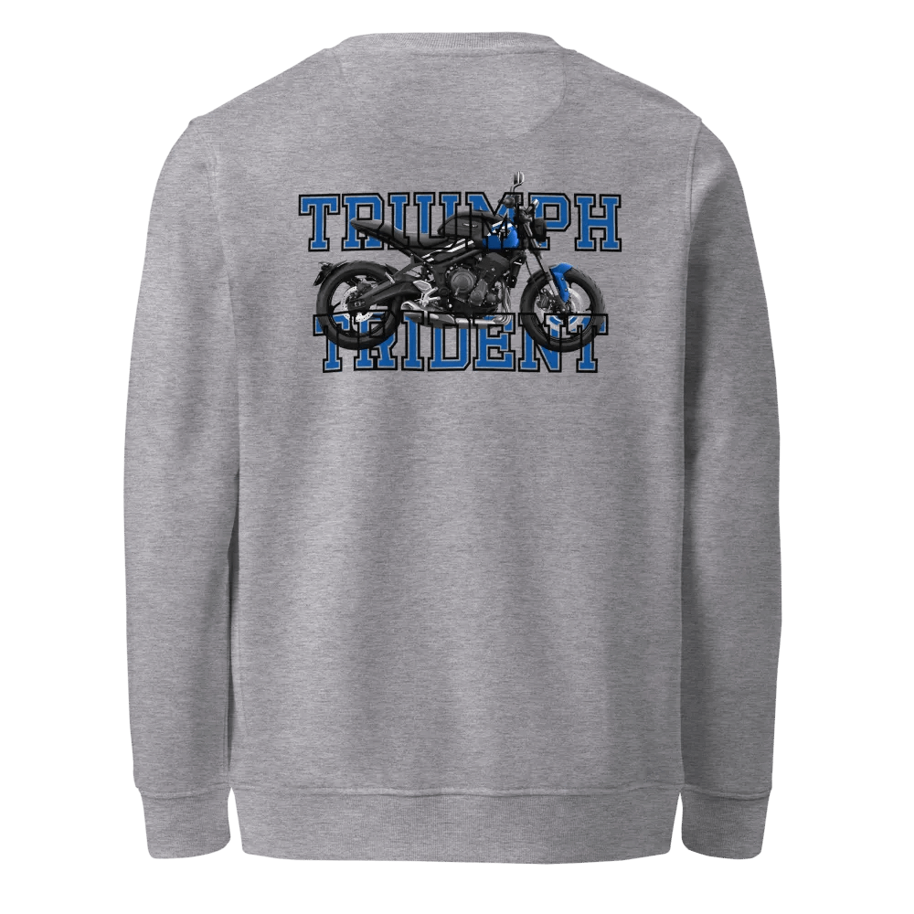 Trident 660 Unisex Sweatshirt product image (4)