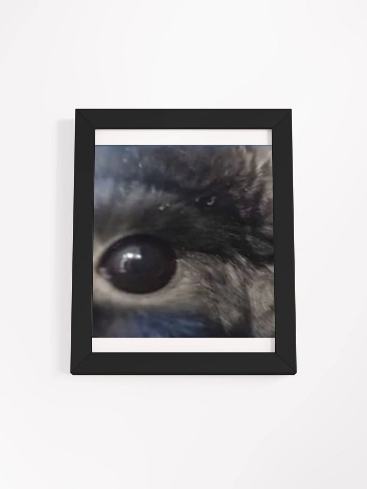Bou Stare Poster product image (6)