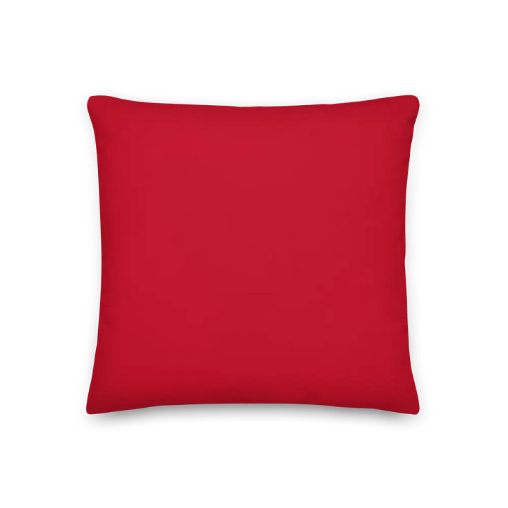 Paws Off My Heart - pillows product image (2)