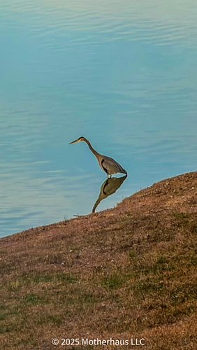 “Adopt the pace of nature: her secret is patience.” ~ Ralph Waldo Emerson