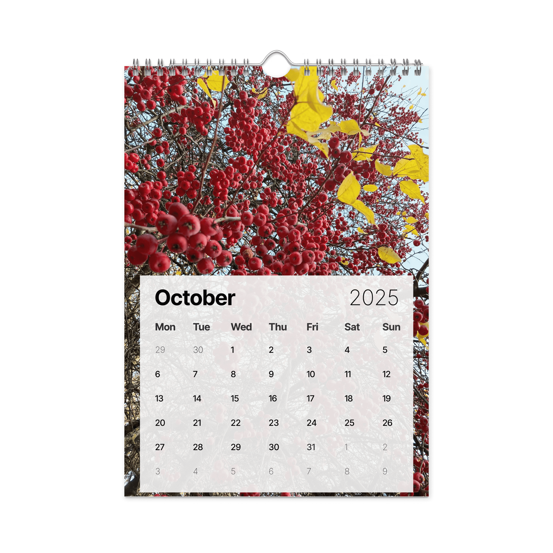 Golden Harvest: 2025 Mushroom Wall Calendar product image (12)