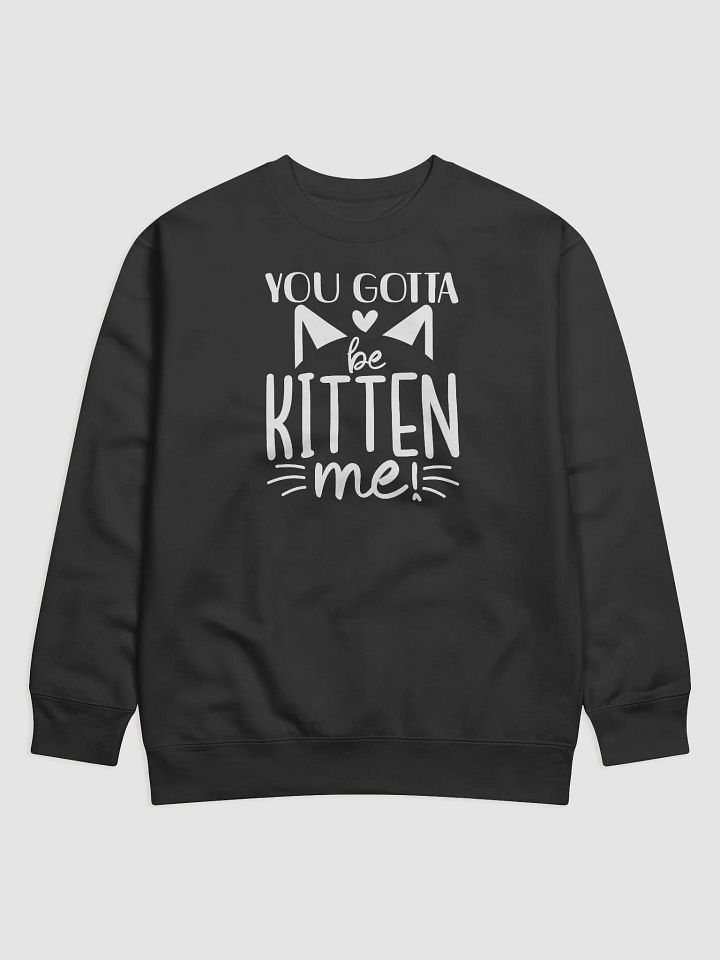 You Gotta Be Kitten Me Hoodie product image (1)