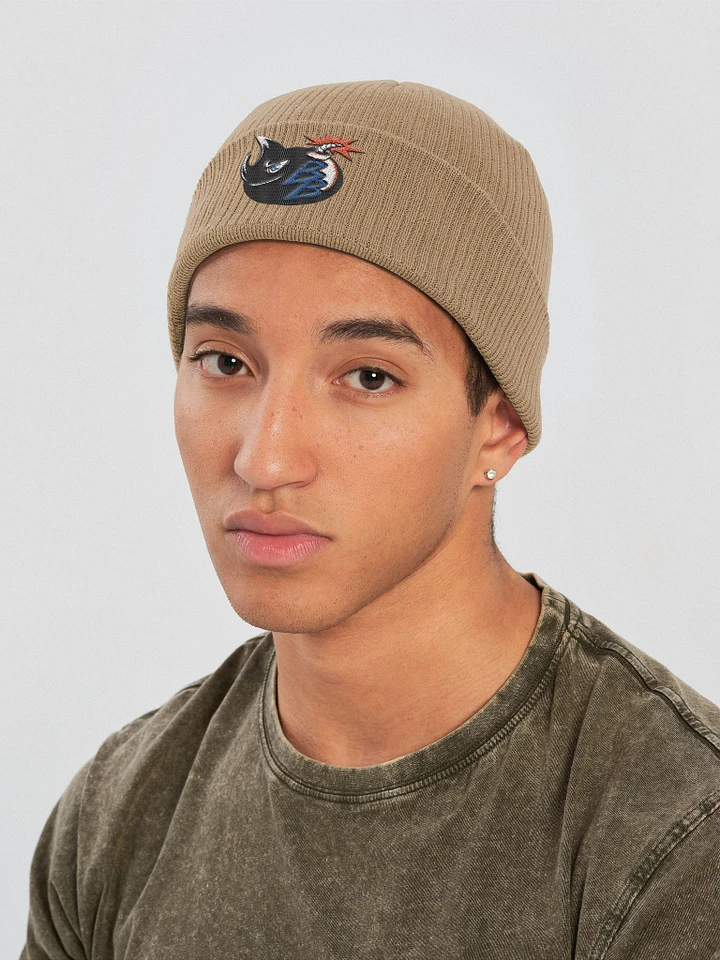 Beets Beanie product image (2)