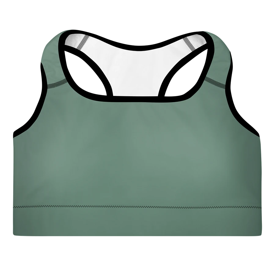 Elevate Your Workout Style with the IBVL X JV Padded Sports Bra product image (1)