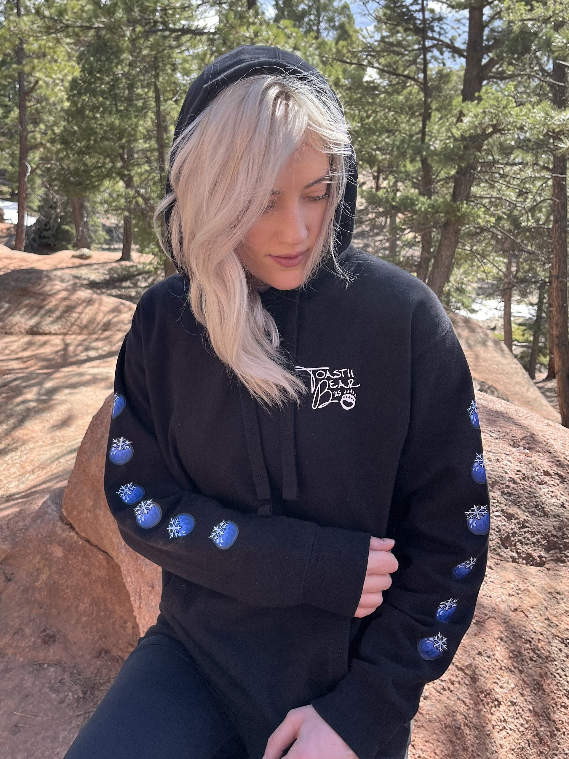 The Gremlin King - Frostberry Hoodie product image (4)