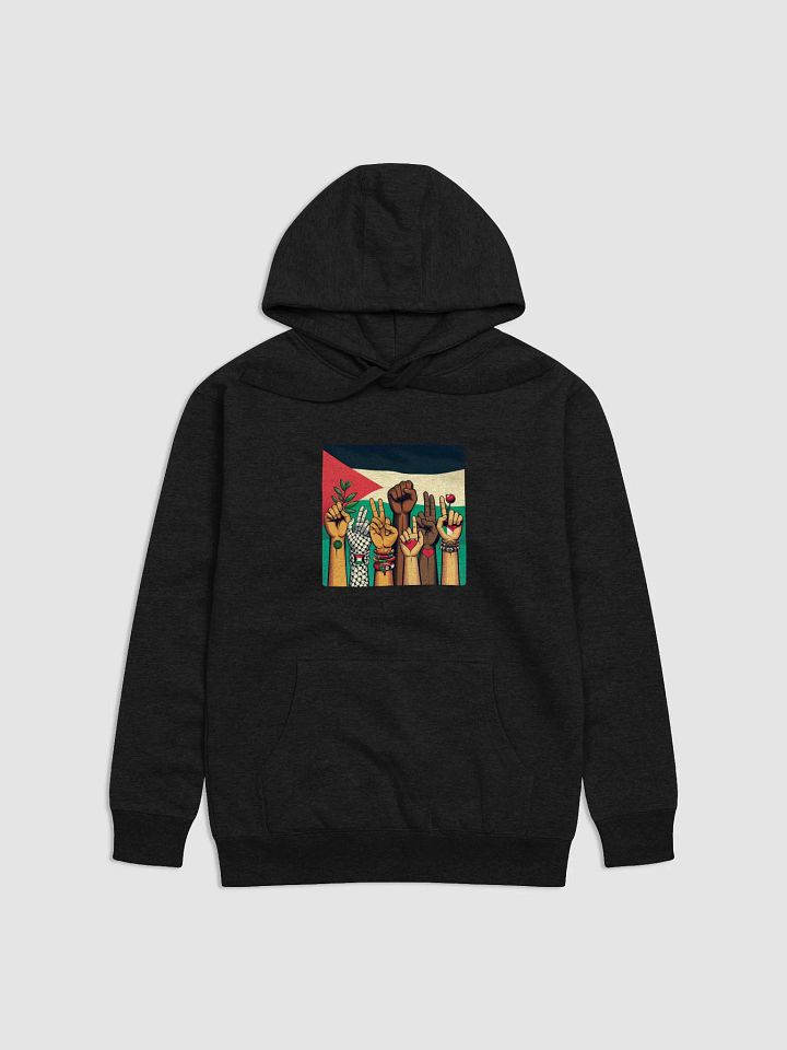 Unity and Solidarity Hoodie | free palestina product image (2)
