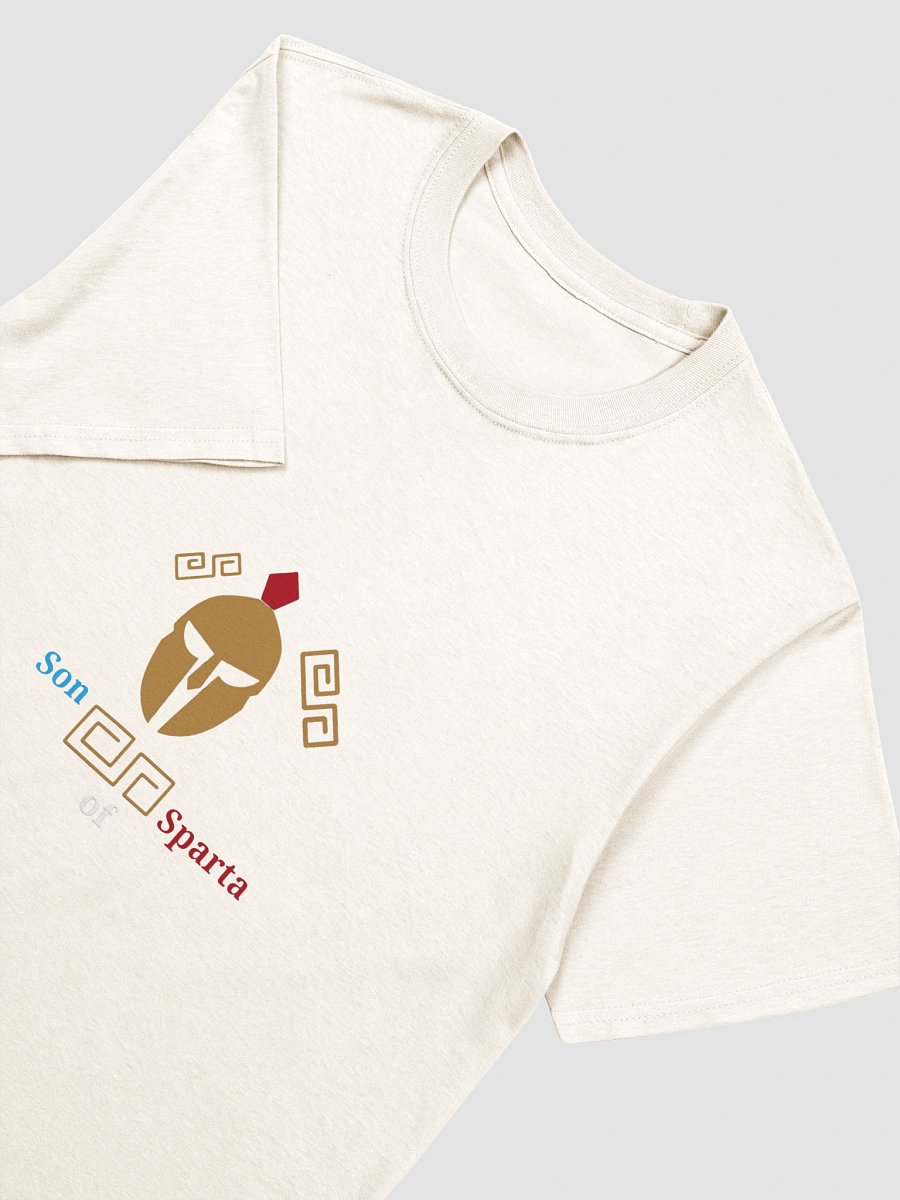 Spartan Legacy Men's Tee product image (7)