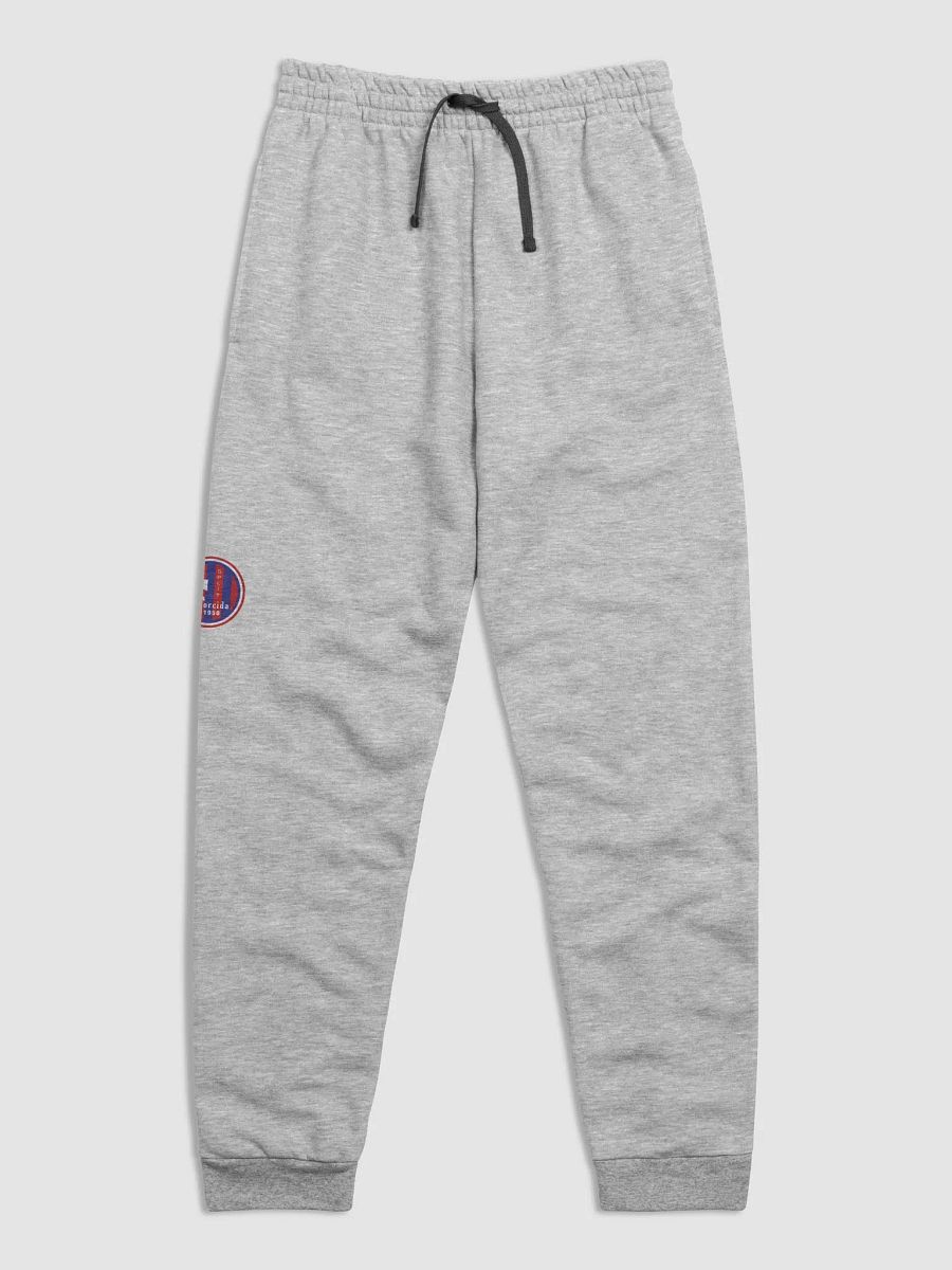 TORCIDA Split Emblem Unisex Joggers product image (24)