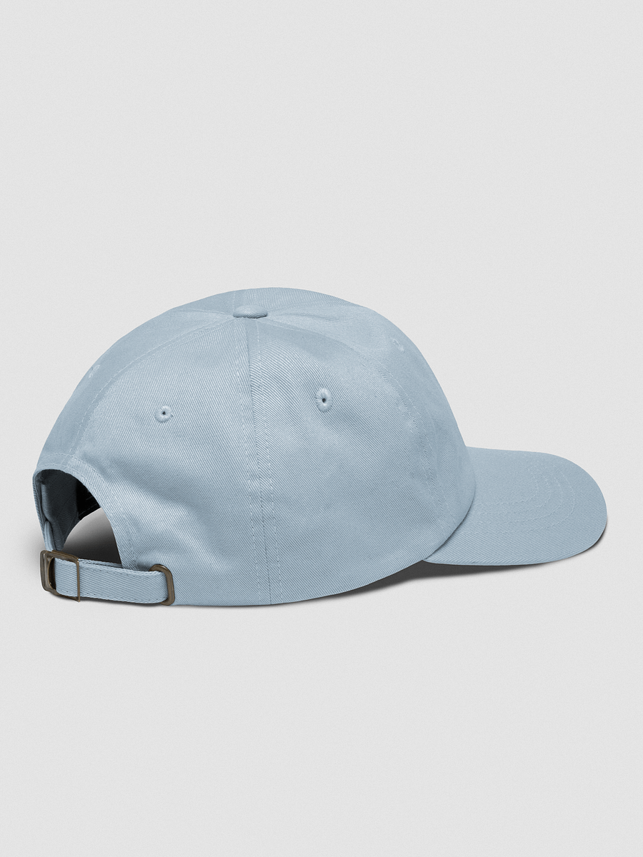 TRTOF Dad Hat product image (13)