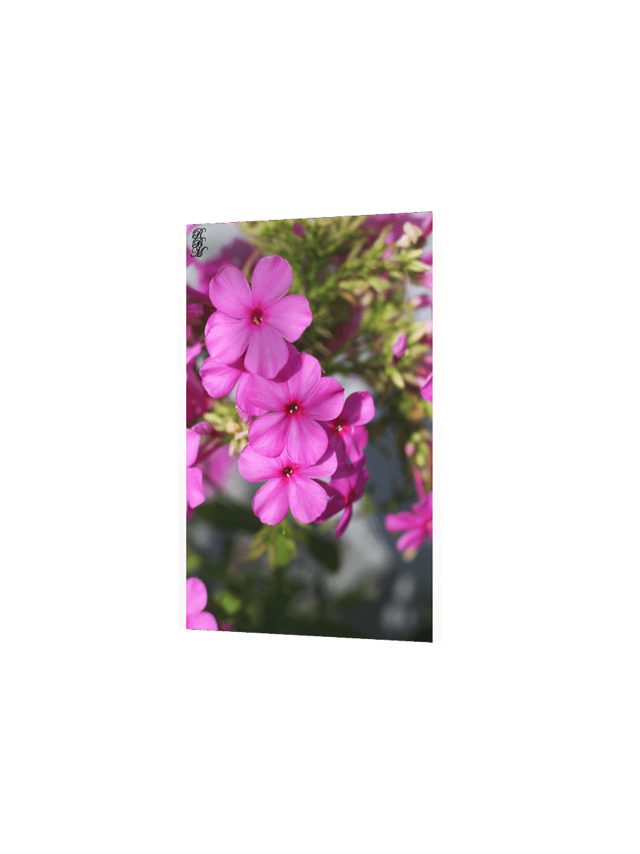 Little Pink Flowers product image (6)