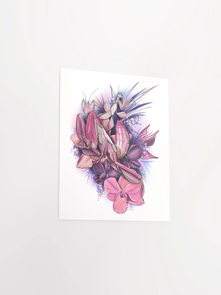 Hymenopus coronatus Poster product image (8)