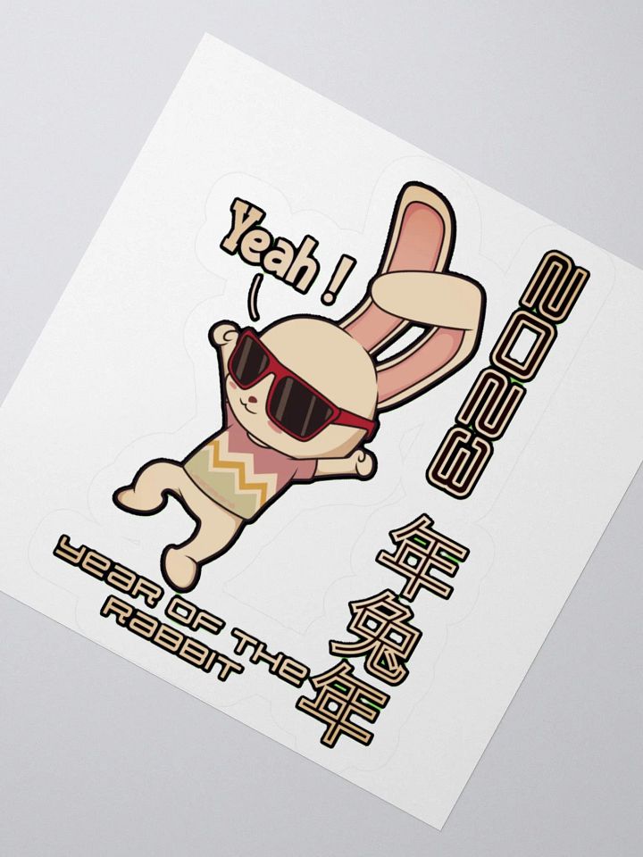 2023 YEAR OF THE RABBIT product image (3)
