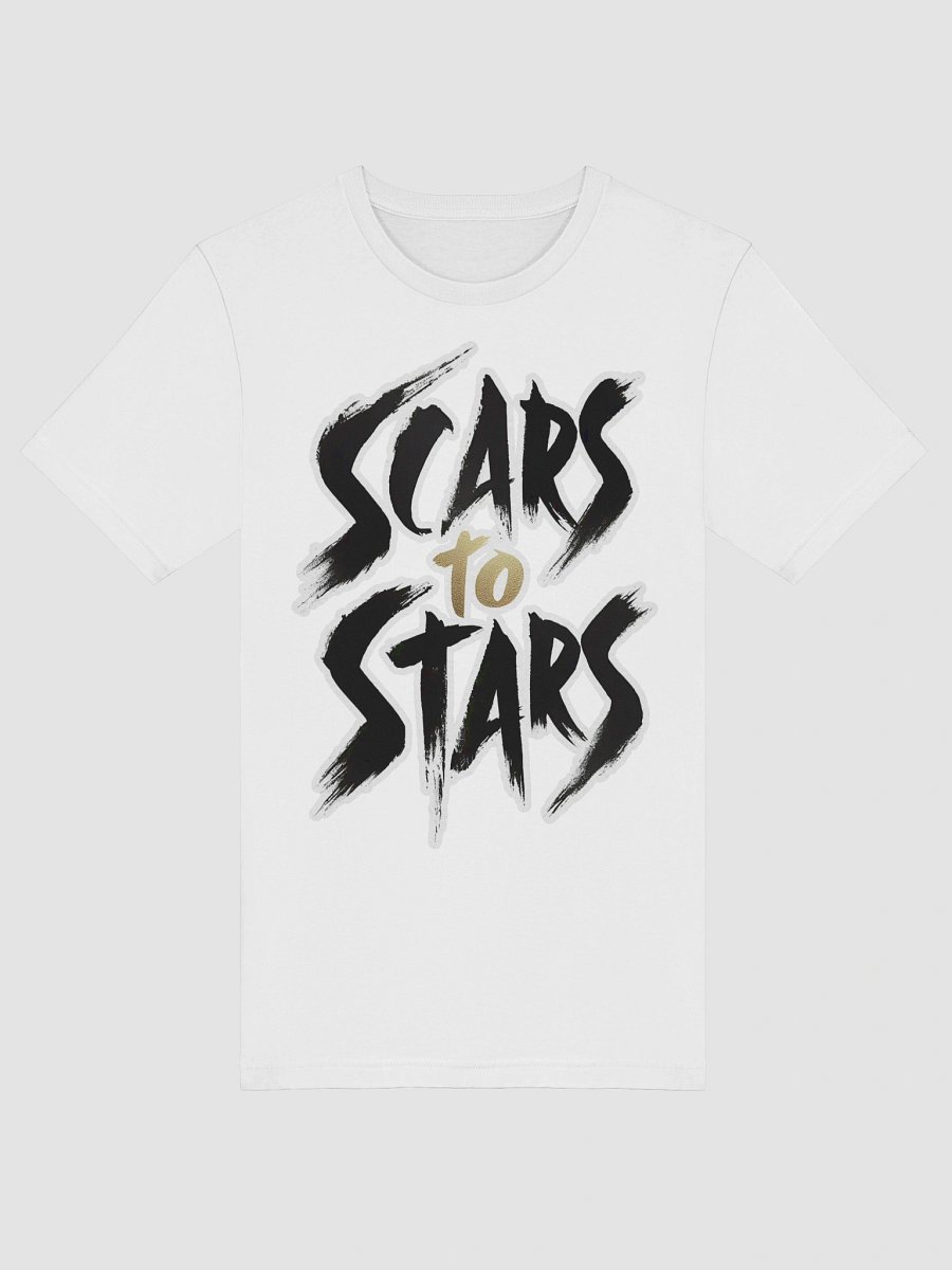 Scars to Stars product image (5)