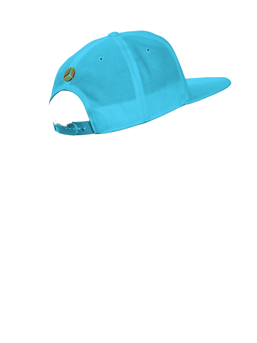 Shadow Circle Snapback Cap product image (47)