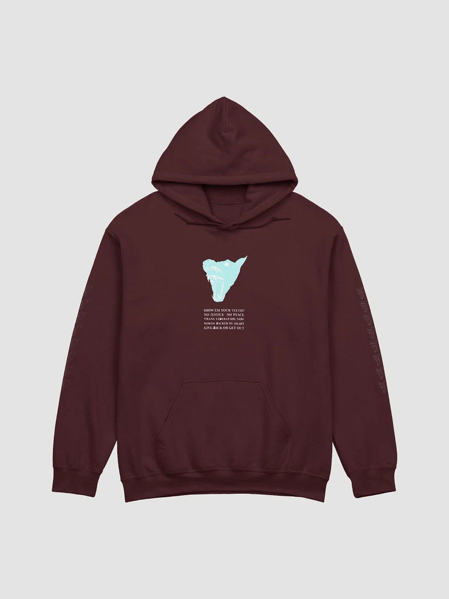 Show Em hoodie 1 product image (1)
