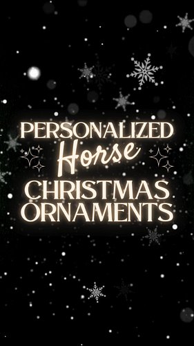 🎄🐴 Personalized Horse Christmas Ornaments!

Shop the full collection here: https://www.hotpocketgraphics.com 

Don’t forget t...
