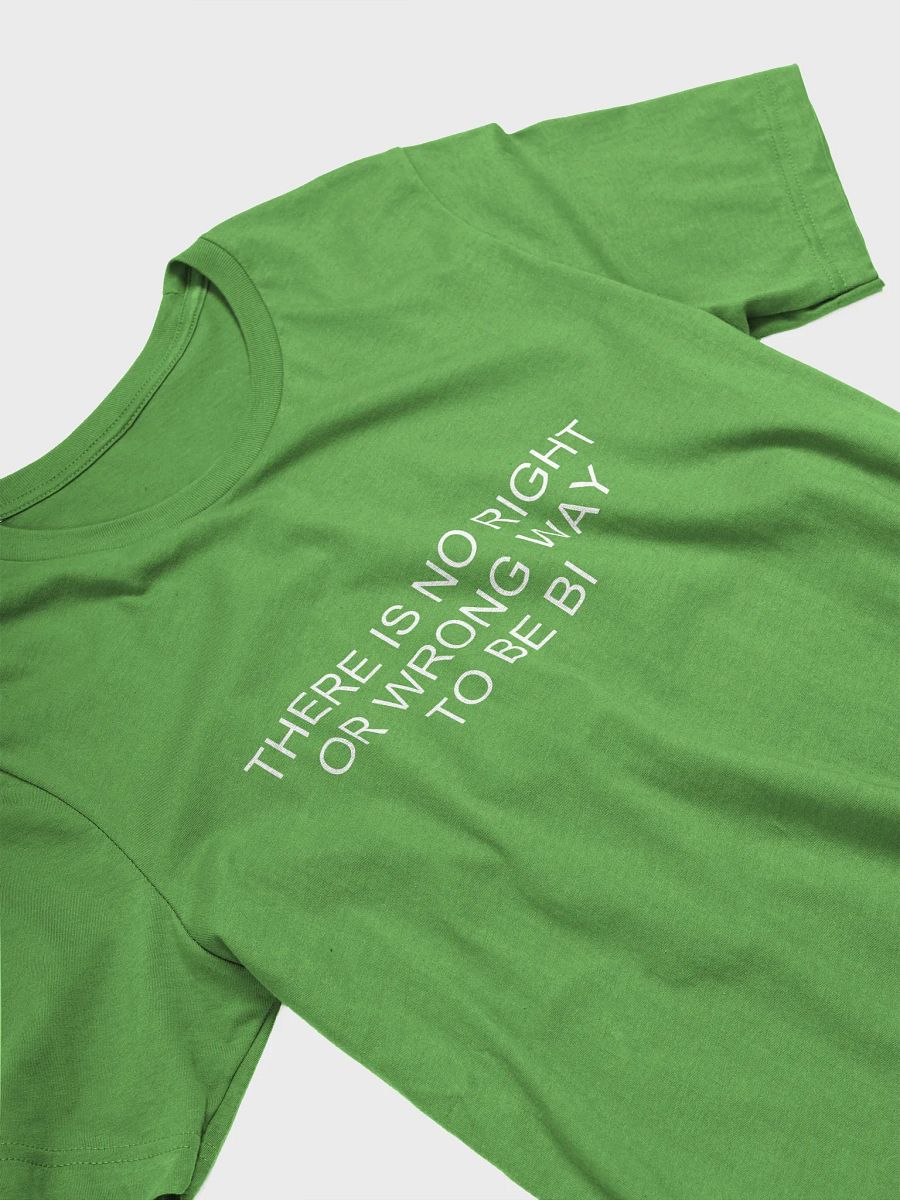 no wrong way to be bi t-shirt product image (3)