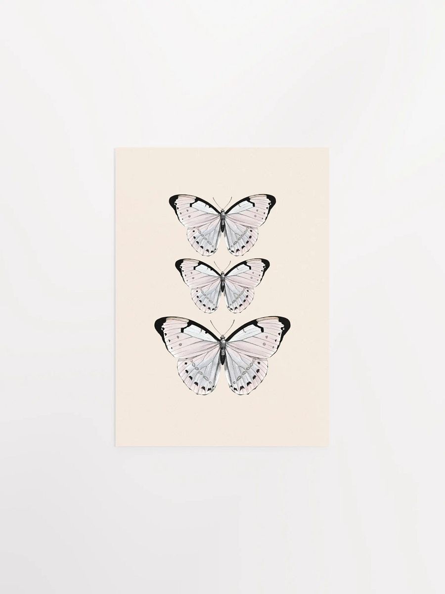 Butterfly Trio Matte Poster product image (5)