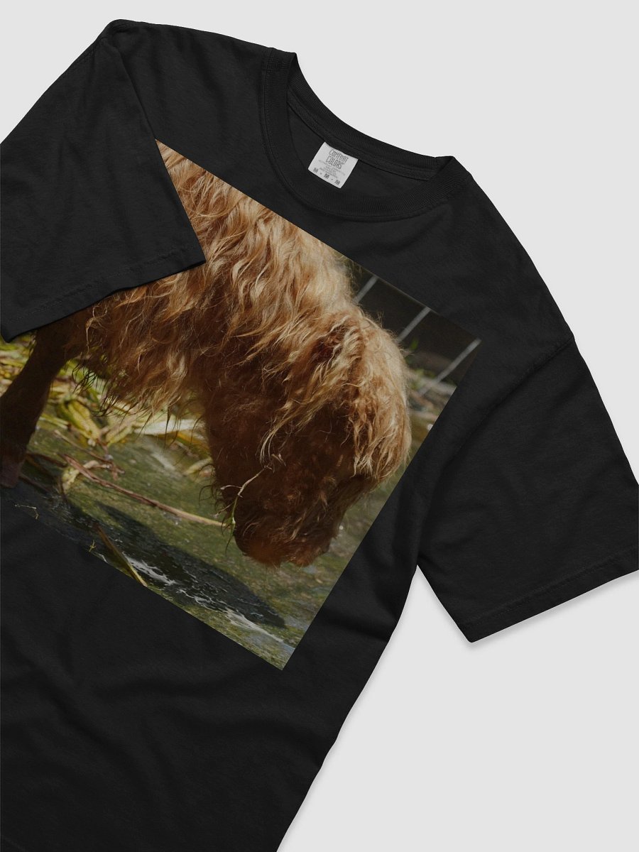 Shaggy Reflections T-Shirt product image (3)