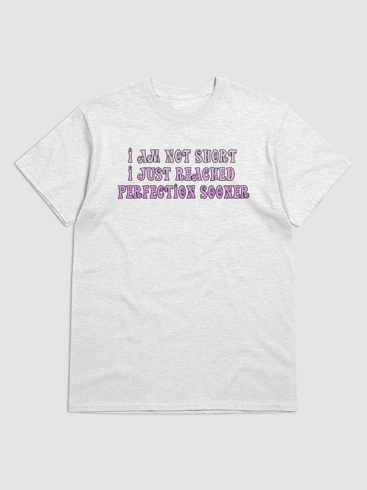 Perfection T-Shirt product image (1)
