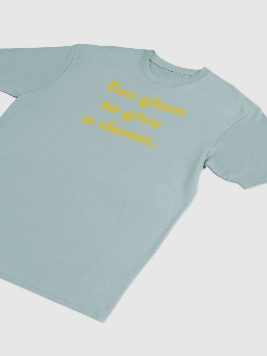 Too Glam to Care What They Say product image (43)